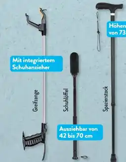Aldi Süd Crane Spazierstock Angebot