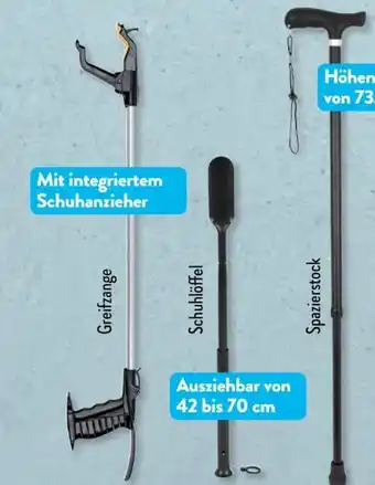 Aldi Süd Crane Spazierstock Angebot