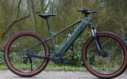 Aldi Süd Prophete E-Mountainbike Dice 1.3 Angebot