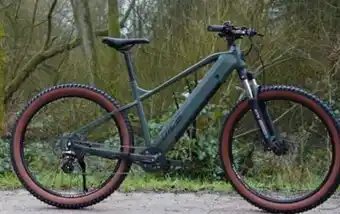 Aldi Süd Prophete E-Mountainbike Dice 1.3 Angebot