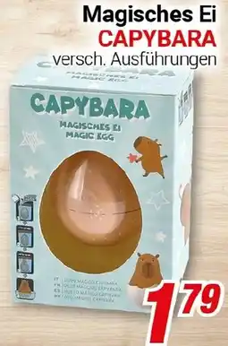 CENTERSHOP Magisches Ei CAPYBARA Angebot