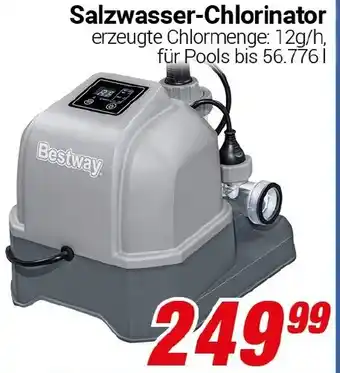 CENTERSHOP Bestway Salzwasser-Chlorinator Angebot