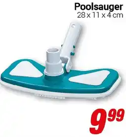 CENTERSHOP Poolsauger Angebot