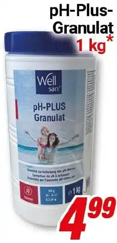 CENTERSHOP Well Well pH-Plus Granulat Angebot