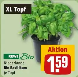 REWE REWE Bio Bio Basilikum Angebot
