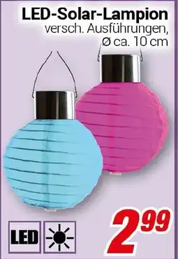 CENTERSHOP LED-Solar-Lampion Angebot