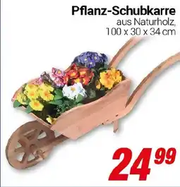 CENTERSHOP Pflanz-Schubkarre Angebot
