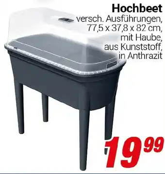CENTERSHOP Hochbeet Angebot