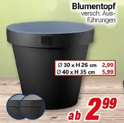 CENTERSHOP Blumentopf Angebot