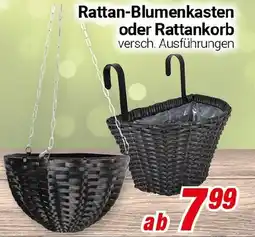 CENTERSHOP Rattan-Blumenkasten oder Rattankorb Angebot