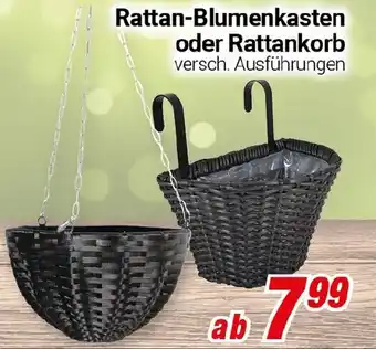 CENTERSHOP Rattan-Blumenkasten oder Rattankorb Angebot