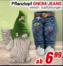 CENTERSHOP Pflanztopf GNOM/JEANS Angebot