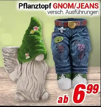 CENTERSHOP Pflanztopf GNOM/JEANS Angebot