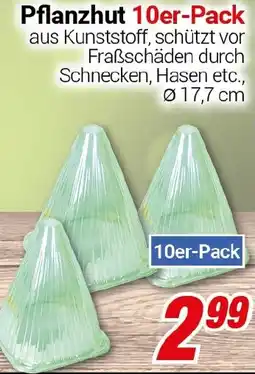 CENTERSHOP Pflanzhut 10er-Pack Angebot