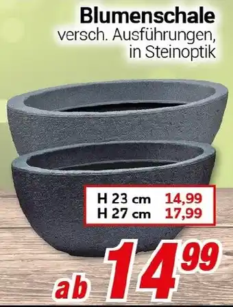 CENTERSHOP Blumenschale Angebot
