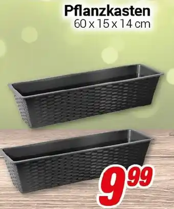 CENTERSHOP Pflanzkasten Angebot