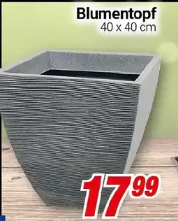 CENTERSHOP Blumentopf Angebot