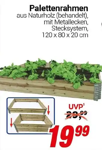 CENTERSHOP Palettenrahmen Angebot