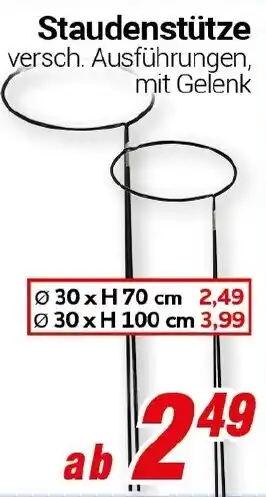 CENTERSHOP Staudenstütze Strauchstütze versch. Ausführungen, Angebot