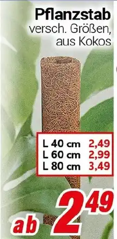 CENTERSHOP Pflanzstab Angebot