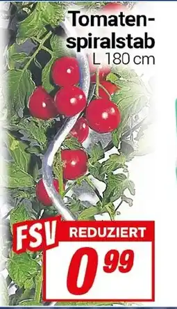 CENTERSHOP Tomaten- spiralstab Angebot