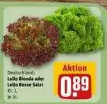 REWE Lollo Bionda oder Lollo Rosso Salat Angebot