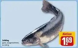 REWE Saibling Angebot
