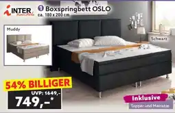 Norma Boxspringbett OSLO Angebot