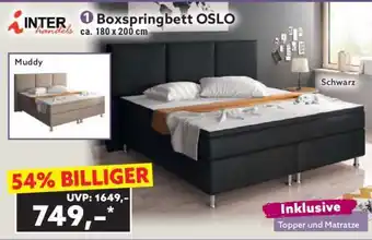 Norma Boxspringbett OSLO Angebot