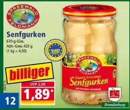 Norma Senfgurken Angebot