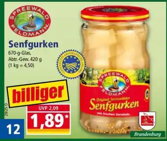 Norma Senfgurken Angebot