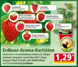 Norma Erdbeer-Aroma-Raritäten Angebot