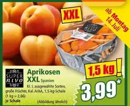 Norma Aprikosen XXL Spanien Angebot