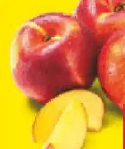 Netto Marken-Discount MarktTag Nektarinen Angebot