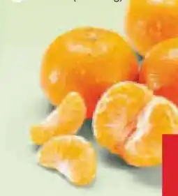 Netto Marken-Discount MarktTag Mandarinen Angebot