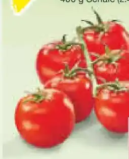 Netto Marken-Discount MarktTag Mini-Rispentomaten Angebot