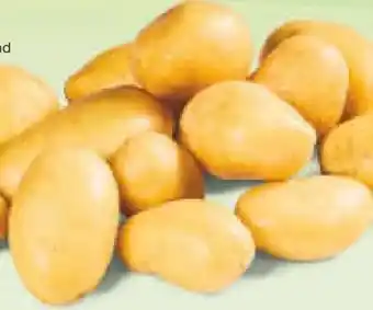 Netto Marken-Discount Pfälzer Grumbeere Speisefrühkartoffeln Angebot