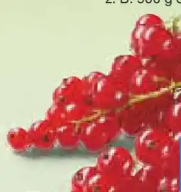 Netto Marken-Discount Heimat Johannisbeeren Angebot