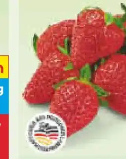 Netto Marken-Discount Heimat Erdbeeren Angebot