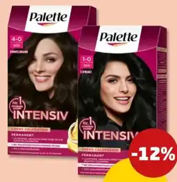 PENNY Poly Palette Intensiv Creme Coloration Angebot