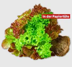 PENNY Marktliebe Regional Bunte Salate Angebot