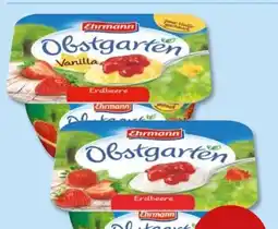 PENNY Ehrmann Obstgarten Erdbeere Angebot