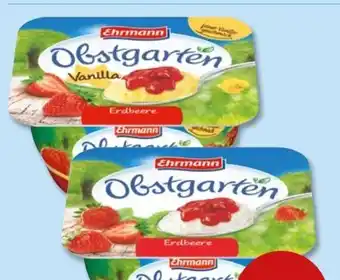 PENNY Ehrmann Obstgarten Erdbeere Angebot