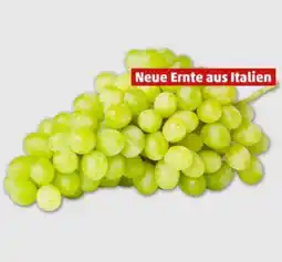 PENNY Tafeltrauben Angebot