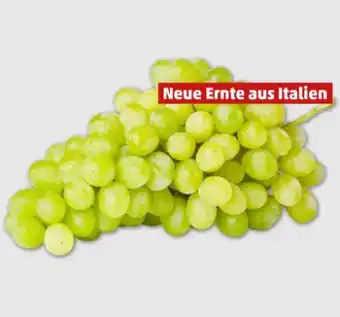 PENNY Tafeltrauben Angebot