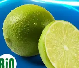 Lidl Bio Limetten Angebot