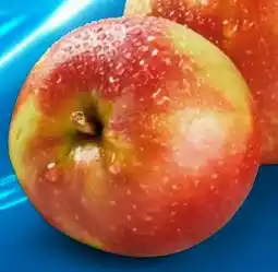 Lidl Äpfel Ambrosia Angebot