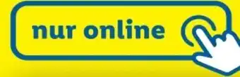 Lidl Action 47 Angebot