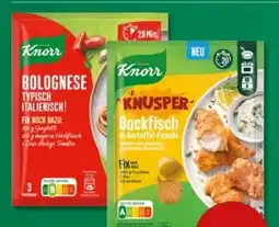 PENNY Knorr Fix Bolognese Typisch Italienisch! Angebot