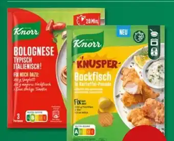 PENNY Knorr Fix Bolognese Typisch Italienisch! Angebot